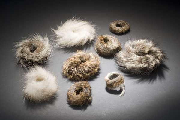 april_hale_furball-rings.jpg